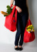 Baggu Bag Shopping Tas Mini Lipat – 201