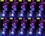 Lampu Bunga Nyala Fiber Optic – 204
