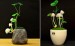 Lampu Avatar Besar Mushroomp LED Lamp – 329